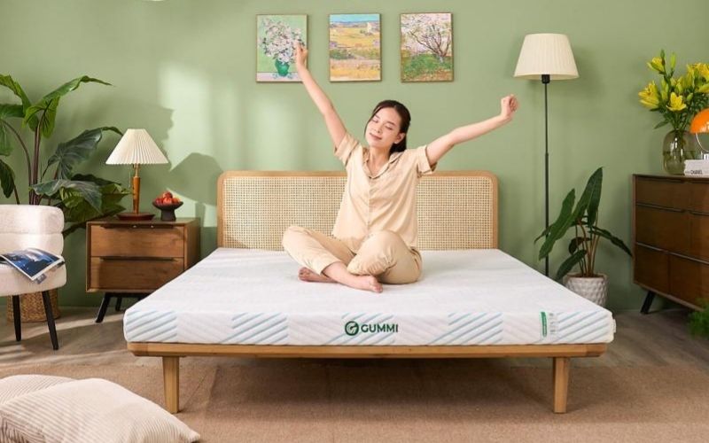 Nệm gummi signature có tốt không