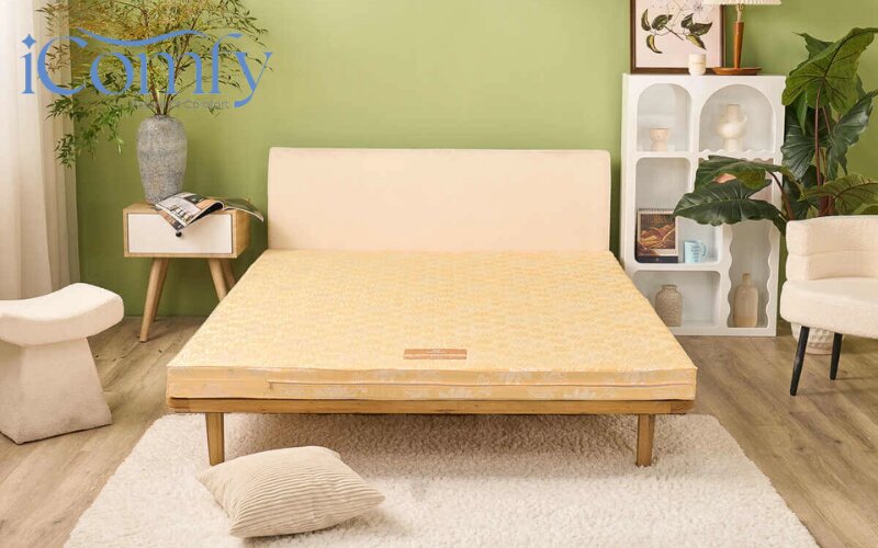 Wonjun Pure Carbon phù hợp với người thích nằm phản hoặc chiếu bởi độ nâng đỡ chắc chắn