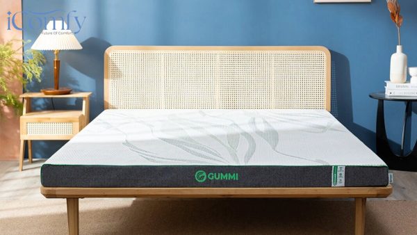 Nệm 10 cm: Lựa chọn quốc dân cho giấc ngủ người Việt 2026