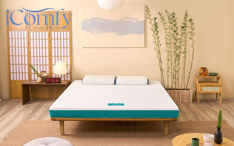  Nệm foam nhẹ hơn, dễ vận chuyển và có mức giá ở tầm trung, phù hợp với nhiều đối tượng