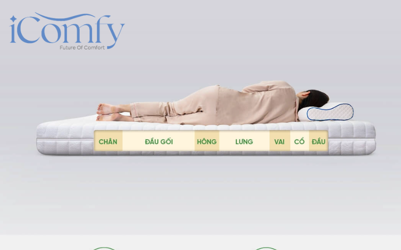 Nệm cao su giúp nâng đỡ cơ thể theo đường cong cột sống