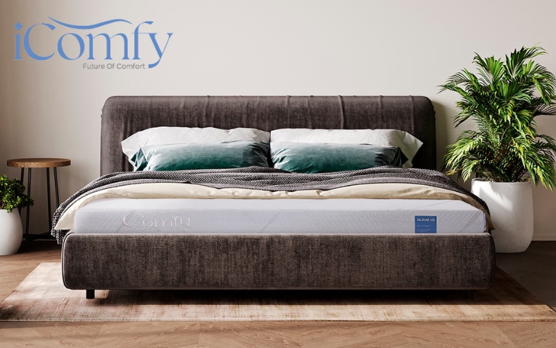 Cloud 1.0 mang lại cảm giác êm vừa, nâng đỡ cột sống ổn định