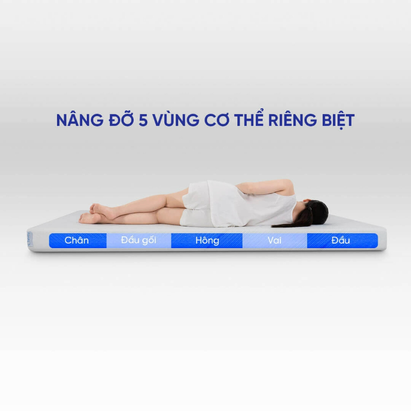 Nệm có khả năng nâng đỡ đa vùng