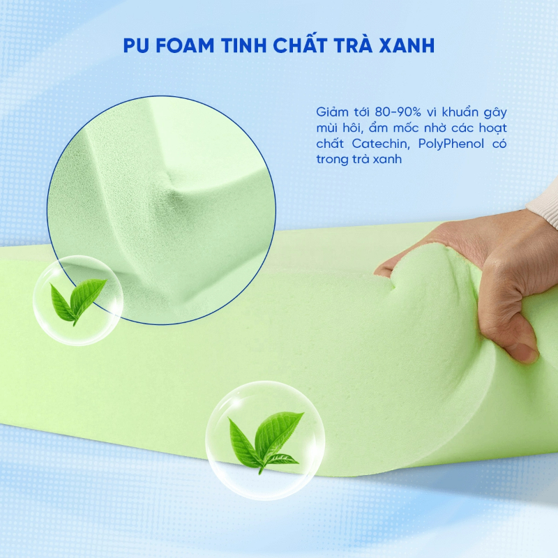 Tinh chất trà xanh kháng khuẩn, hạn chế mùi ẩm mốc