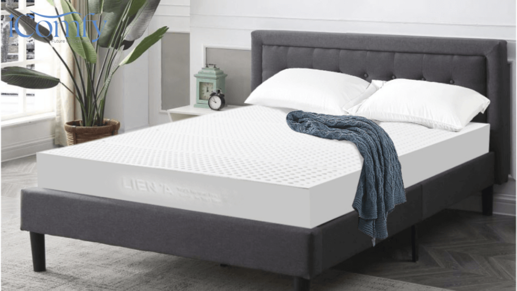 Nệm 1m2 x 2m Liên Á: Bảng giá đầy đủ, mới nhất 2026