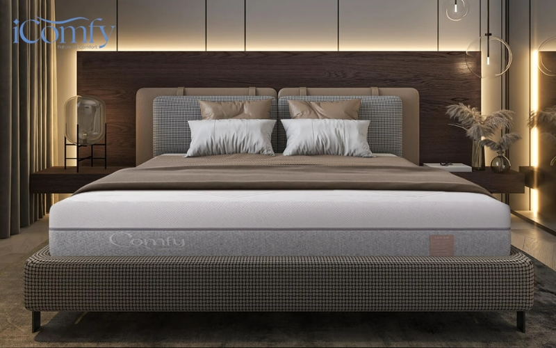 Nệm foam cao cấp iComfy Lux 3.0
