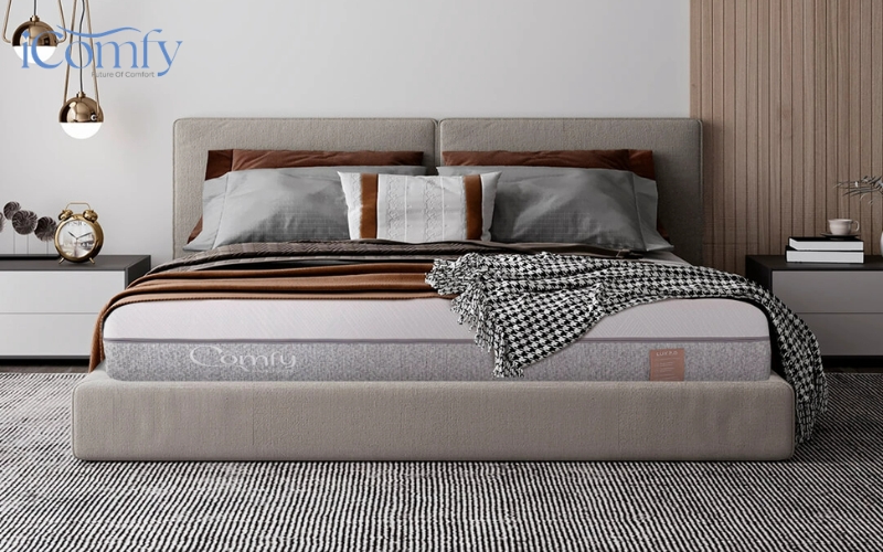 Bí quyết lựa chọn các loại nệm tốt cho sức khoẻ chuẩn y khoa 5 iComfy Lux 2.0