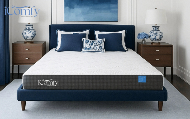 Nệm foam iComfy Coolax Plus