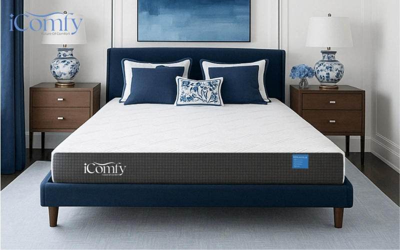 TOP 10 đệm mùa hè cho người già mát lưng, khoẻ xương khớp 6 Nệm foam iComfy Coolax Plus