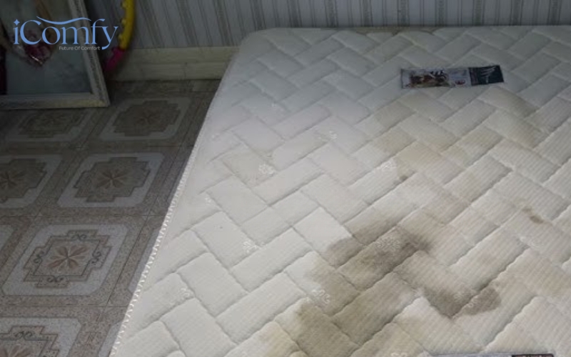 Vết nước tiểu để lâu thường gây mùi khai và để lại vết ố vàng trên bề mặt nệm