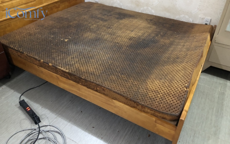 Nệm có thể bị nấm mốc khi gặp thời tiết nồm ẩm hoặc do nước đổ lên bề mặt