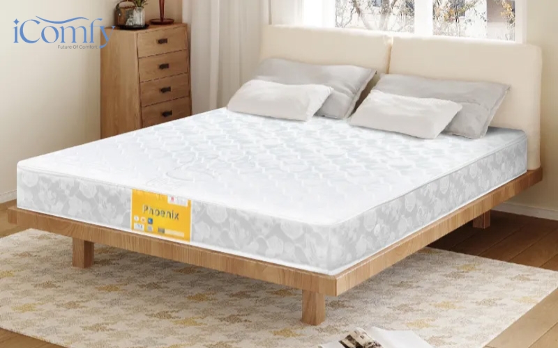Nệm lò xo Vạn Thành Phoenix Tricat 3 viền