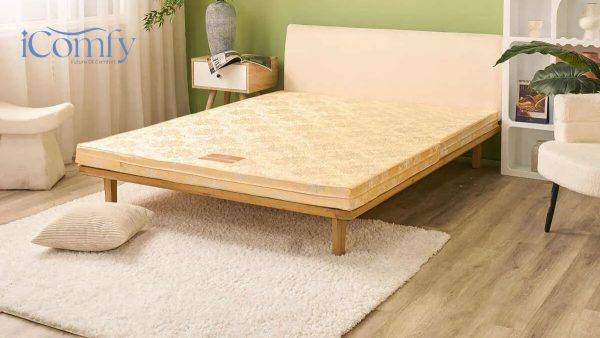 TOP 4 mẫu nệm gấp 2 tiết kiệm diện tích, nâng đỡ tốt