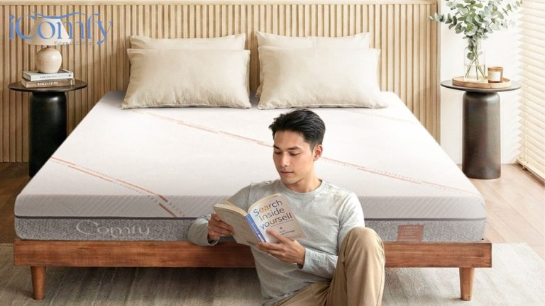 TOP 10 mẫu nệm giá rẻ chất lượng, bán chạy hiện nay