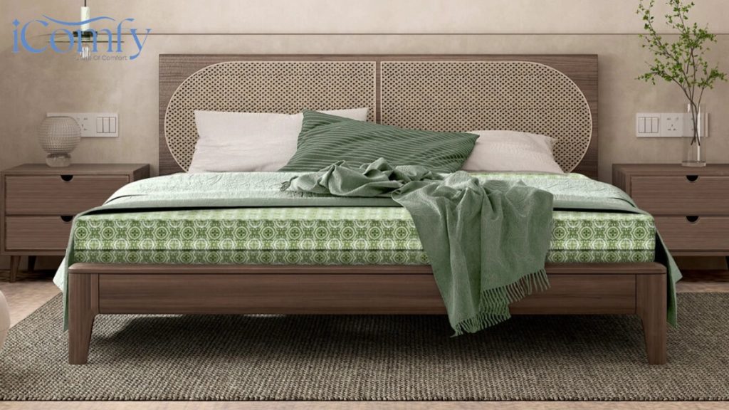 Nệm gòn ép là gì? TOP 4 mẫu nệm gòn ép bán chạy 2026