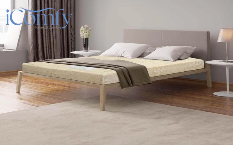 Đệm mỏng mùa hè Goodnight Eva 10 cm