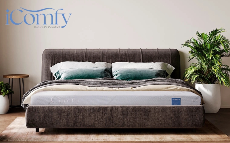 Nệm foam iComfy Cloud 1.0 giúp nâng đỡ cột sống