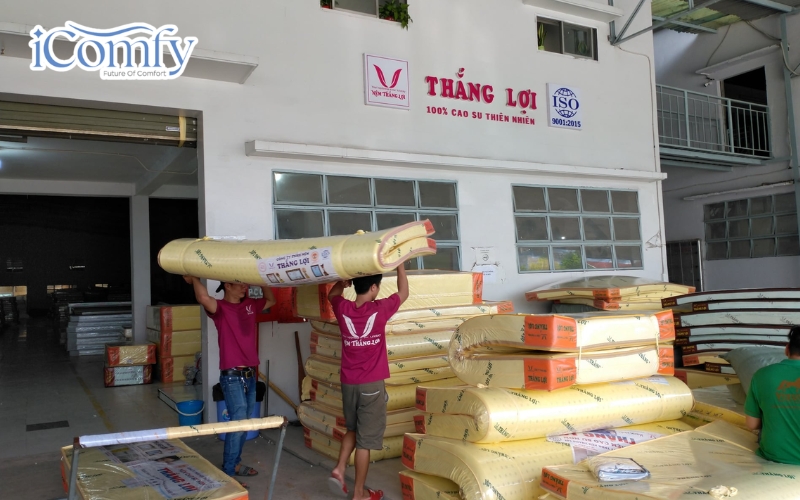 TOP 10 công ty nệm uy tín, nổi tiếng tại Việt Nam 6 Thắng Lợi là một trong những đơn vị sản xuất nệm có hệ sinh thái sản phẩm đa dạng