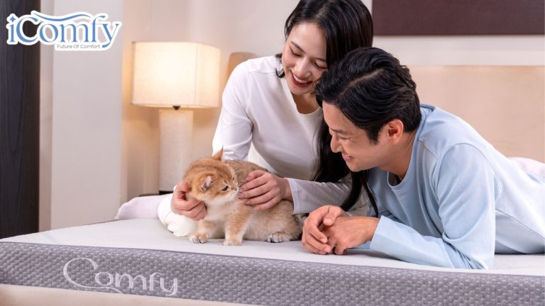 12 cửa hàng chăn ga gối nệm Quảng Bình giá tốt [hienthinam]