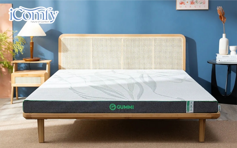 Nệm than hoạt tính: Đánh giá chi tiết, bảng giá, kinh nghiệm mua 8 Nệm Gummi Premium