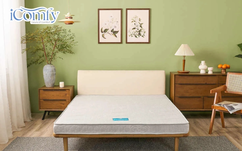 Nệm than hoạt tính: Đánh giá chi tiết, bảng giá, kinh nghiệm mua 9 Wonjun Pure Premium