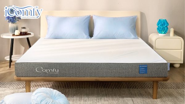 TOP 12 cửa hàng chăn ga gối đệm Tiền Giang chính hãng, giá tốt 