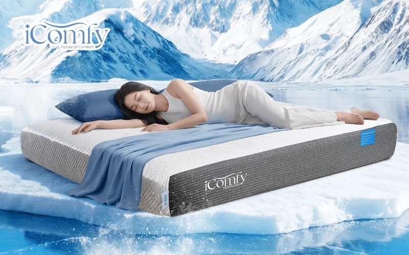 Nệm foam iComfy Coolax Plus