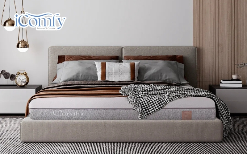Nệm foam Comfy Lux 2.0
