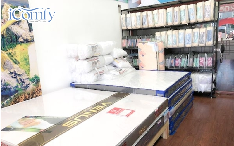 Cây Bông Gòn Bedding Store