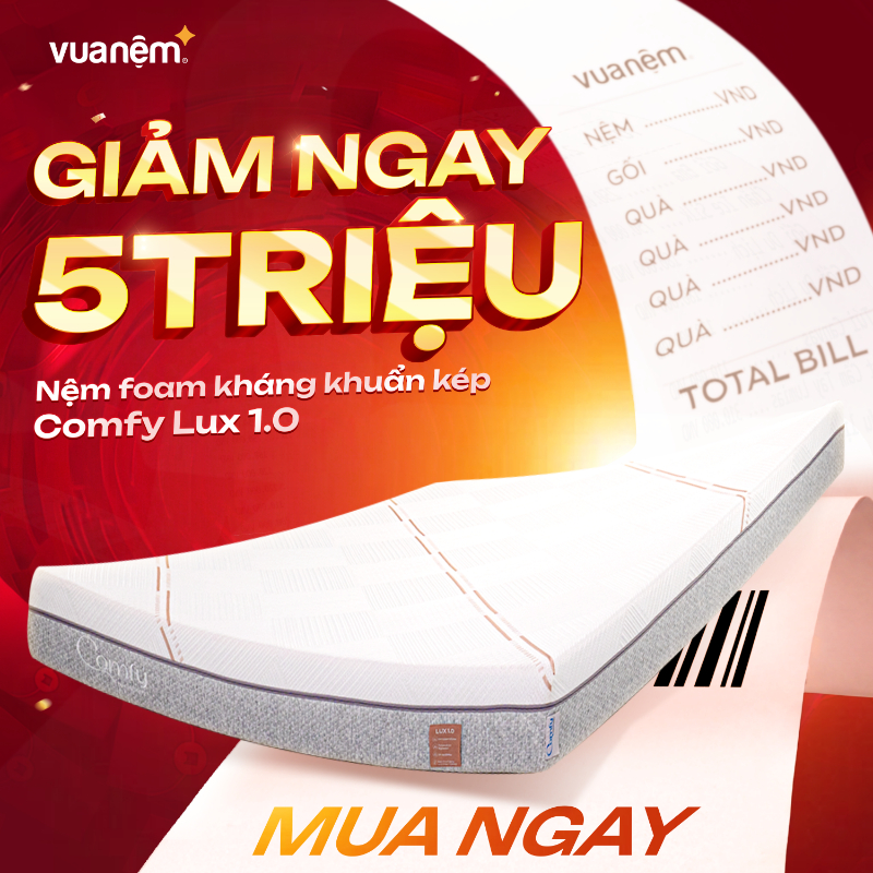 Nệm foam kháng khuẩn kép iComfy Lux 1.0