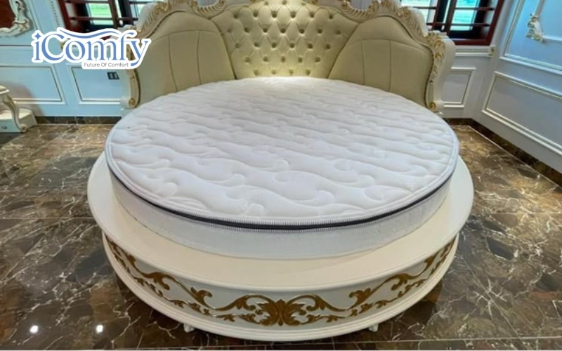Đệm tròn Spine O Master thương hiệu Dunlopillo