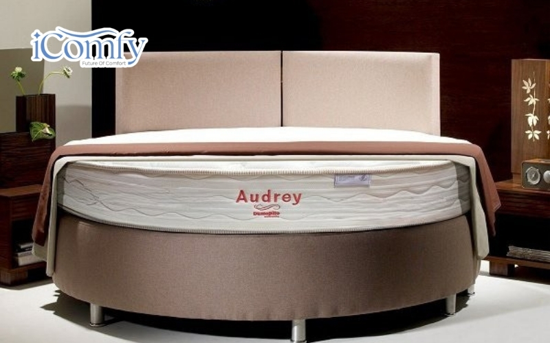 Nệm tròn Audrey của Dunlopillo