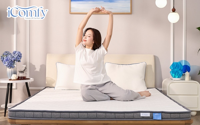 Vua Nệm & iComfy
