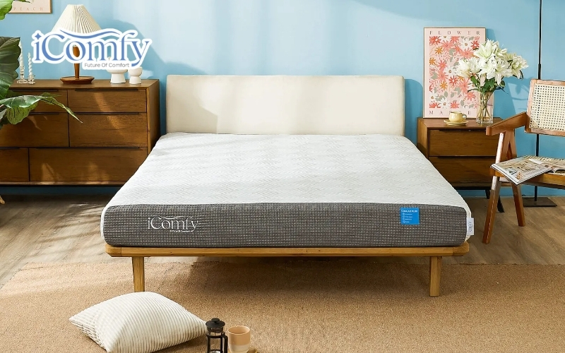 Nệm Foam iComfy Coolax Plus