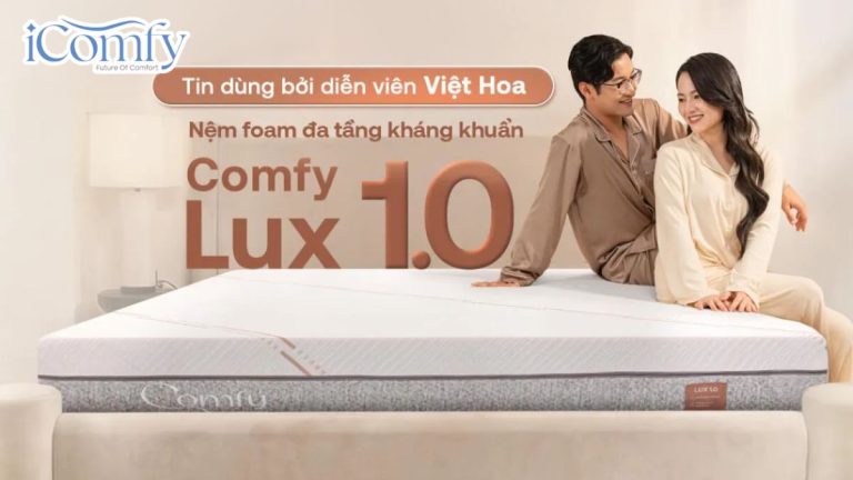 Cách chọn nệm cho người đau lưng - TOP 10 mẫu tốt nhất 2026