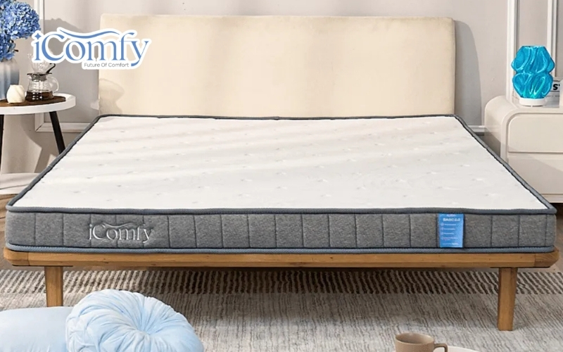 Nệm foam iComfy Basic 2.0