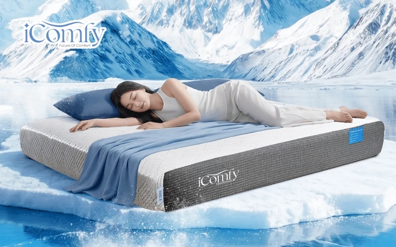Nệm foam iComfy Coolax Plus