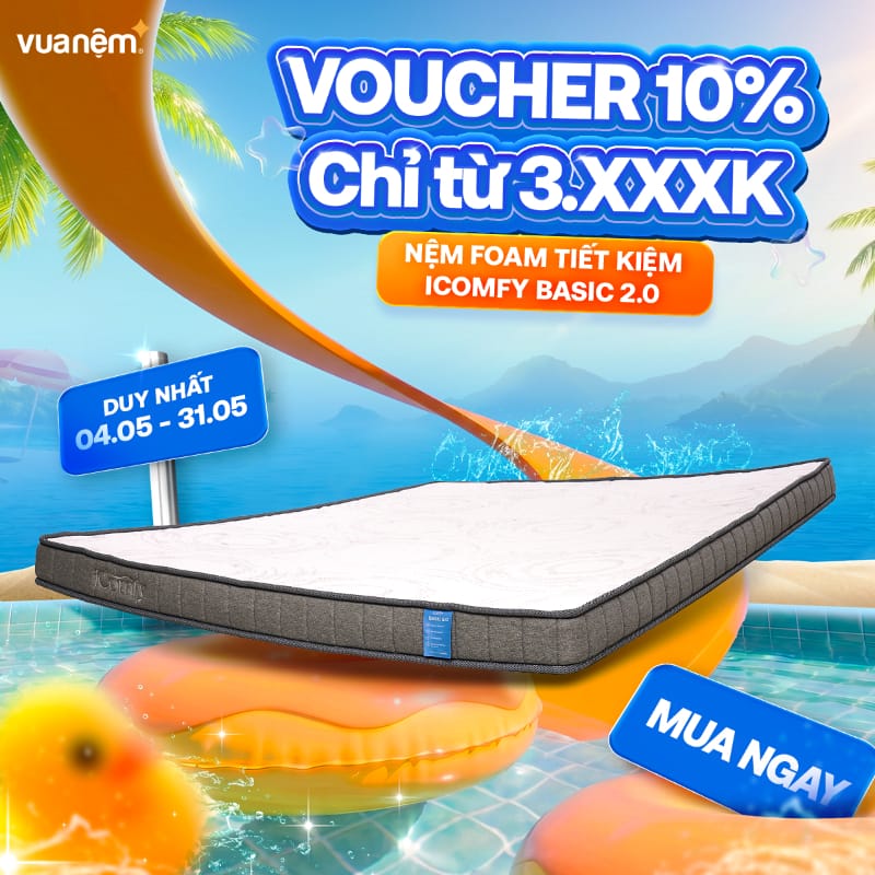 Nệm foam tiết kiệm iComfy Basic 2.0