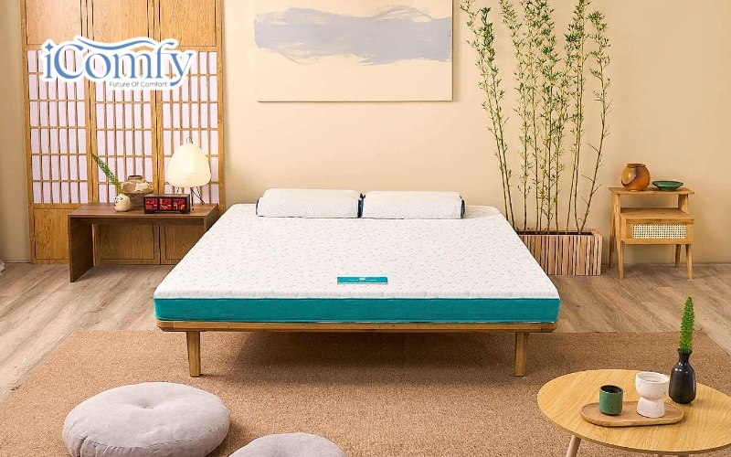 TOP 4 mẫu nệm Nhật Bản cao cấp, chất lượng hiện nay 8 Nệm Memory Foam Aeroflow Fit Plus