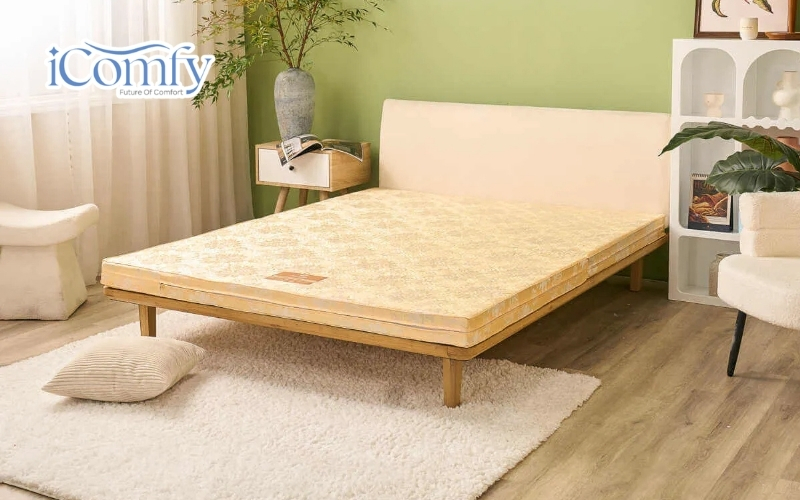 Nệm bông ép tổng hợp