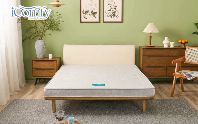 Bí quyết chọn đệm mùa đông ấm áp, ngủ ngon, bảo vệ sức khỏe 5 Đệm bông ép