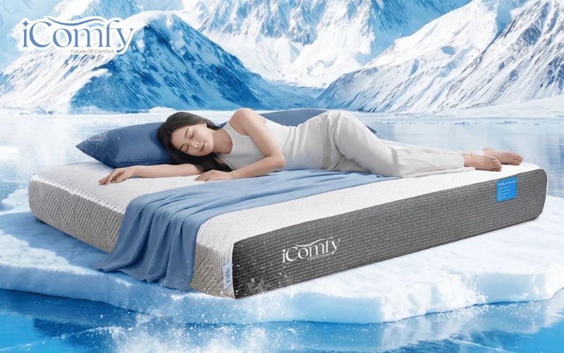 TOP 10 mẫu đệm nhà nghỉ đẹp - bền - tối ưu lợi nhuận 10 iComfy là cái tên nổi bật nhờ các dòng nệm chất lượng cao