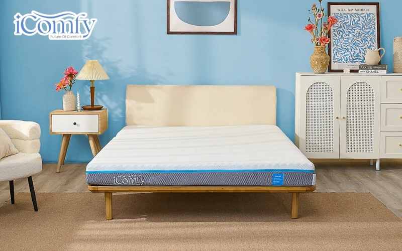 Kinh nghiệm mua đệm massage đúng chuẩn cho cả gia đình 7 iComfy Coolax