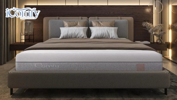 TOP 6 mẫu nệm 25cm chất lượng, giá mới năm 2026