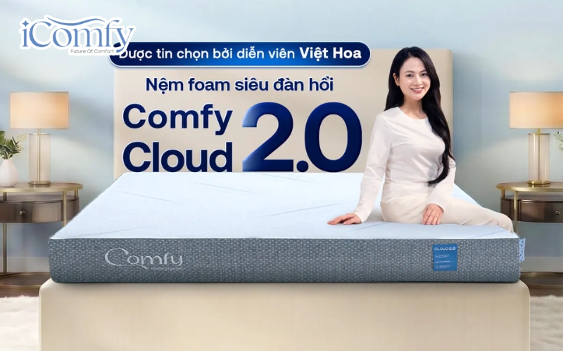 iComfy Cloud 2.0