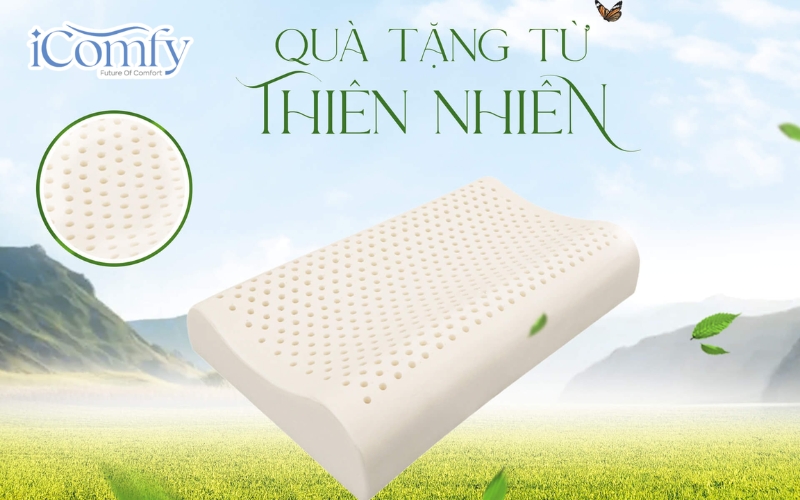 Gối Cao su Dreamland nâng đỡ vai gáy