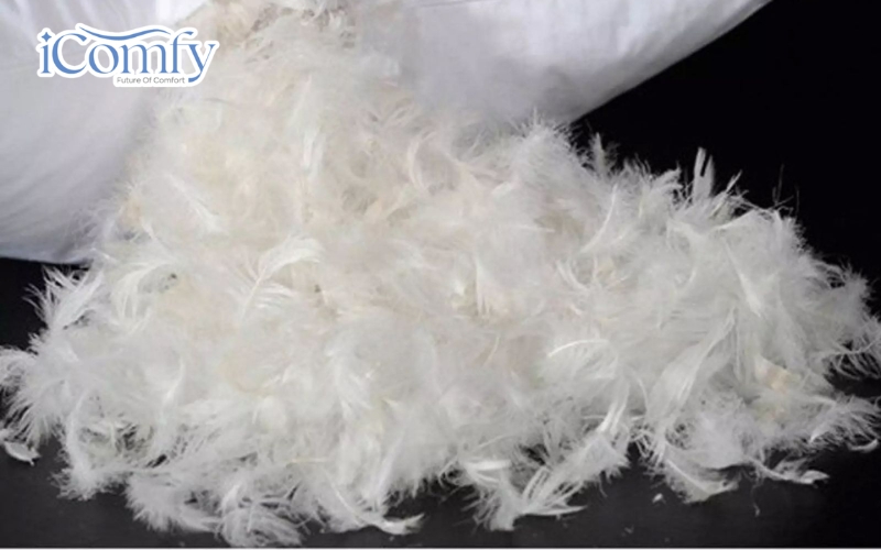 Gối lông vũ tự nhiên được sản xuất từ lông thân (feather) và lông tơ (down) của vịt hoặc ngỗng