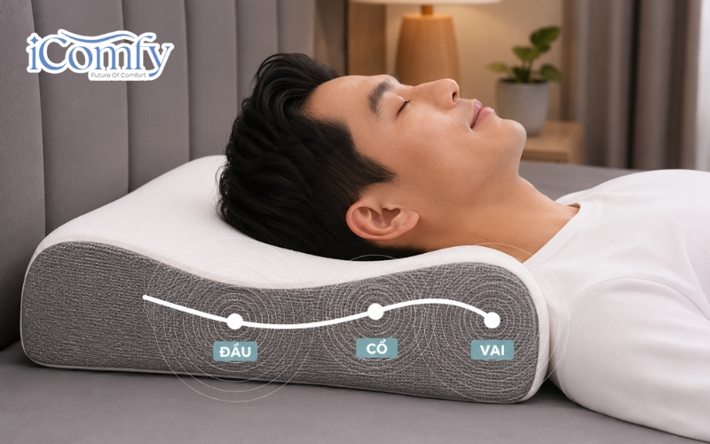 Gối công thái học