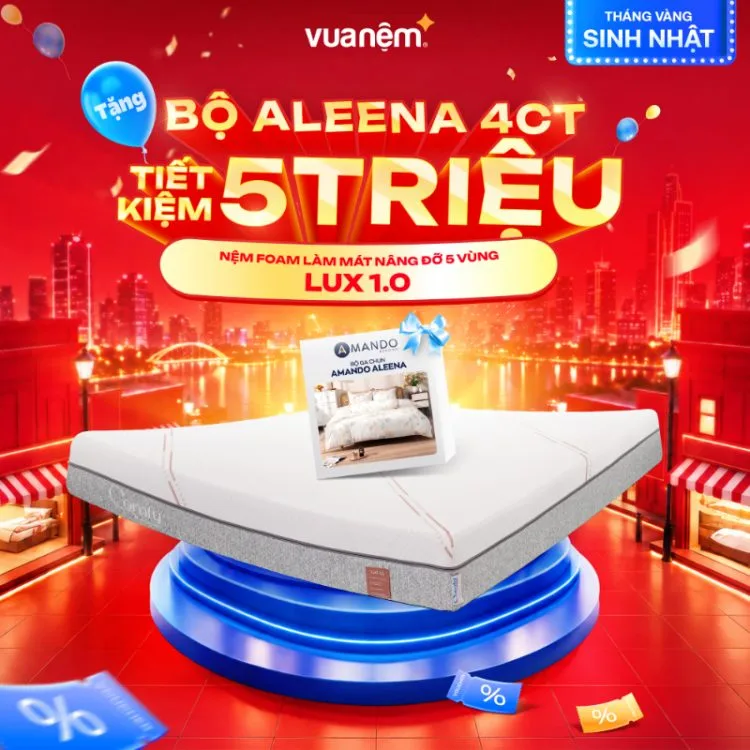 Nệm foam cao cấp iComfy Lux 1.0 nâng đỡ 5 vùng