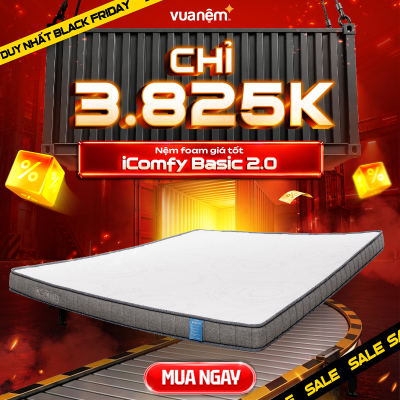Nệm foam iComfy Basic 2.0 giá dễ tiếp cận